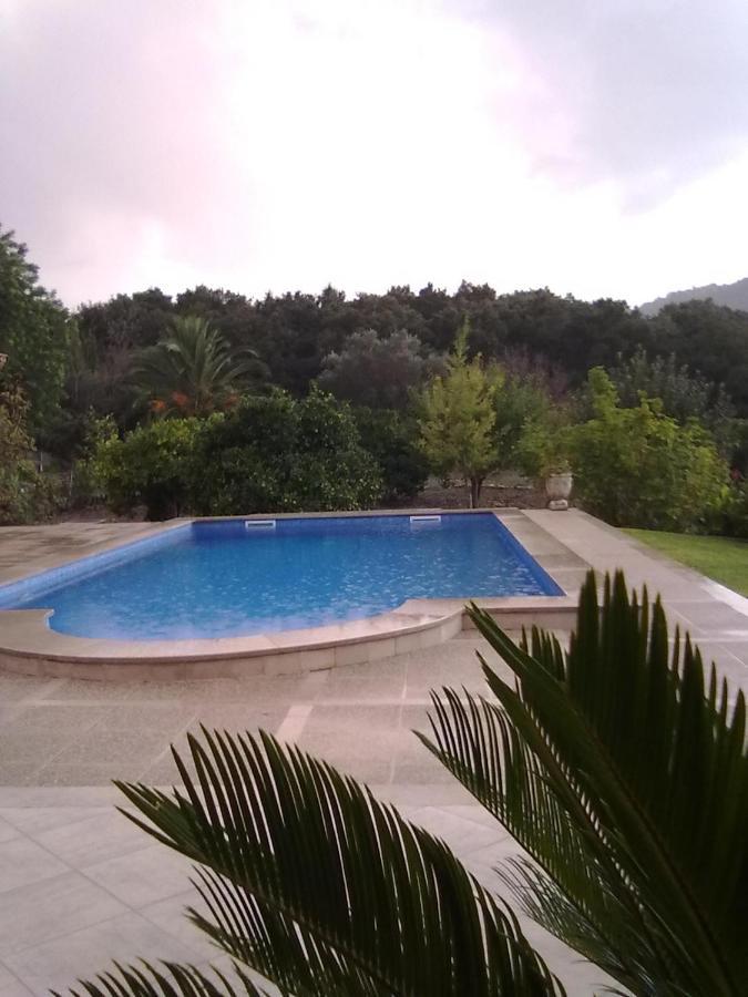 Villa Milagro - 3 Bedroom Style With Pool Near Golf Course/beaches - Air Cond. *